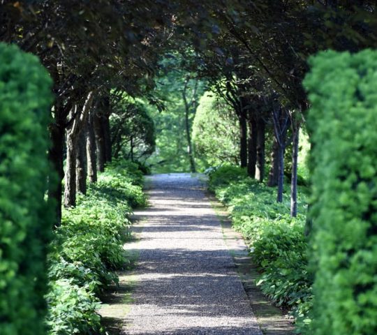 Brooklyn Botanic Garden